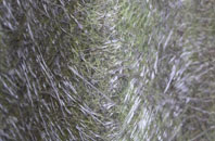 Higher Poynton fibreglass roof work